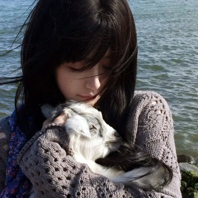 恐龙王